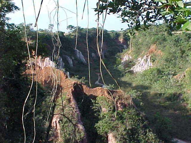 Pousada Fazenda Buracao Mococa Exterior photo